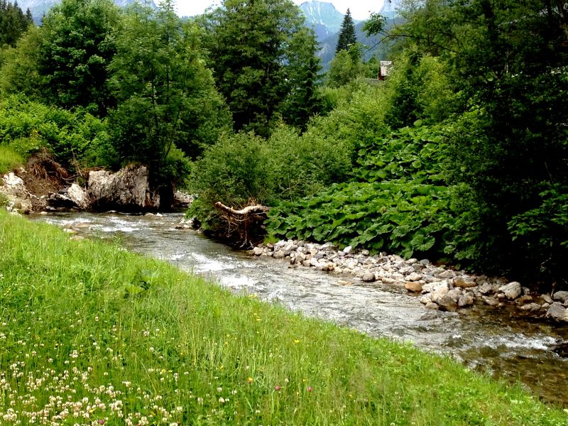 foto 12 Mietobjekt von Privatpersonen Chtel chalet Rhne-Alpes Haute-Savoie Ausblick aus der Ferienunterkunft