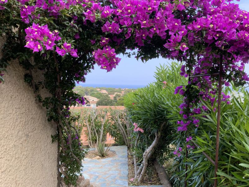foto 1 Mietobjekt von Privatpersonen Lumio studio Korsika Haute-Corse Ausblick von der Terrasse