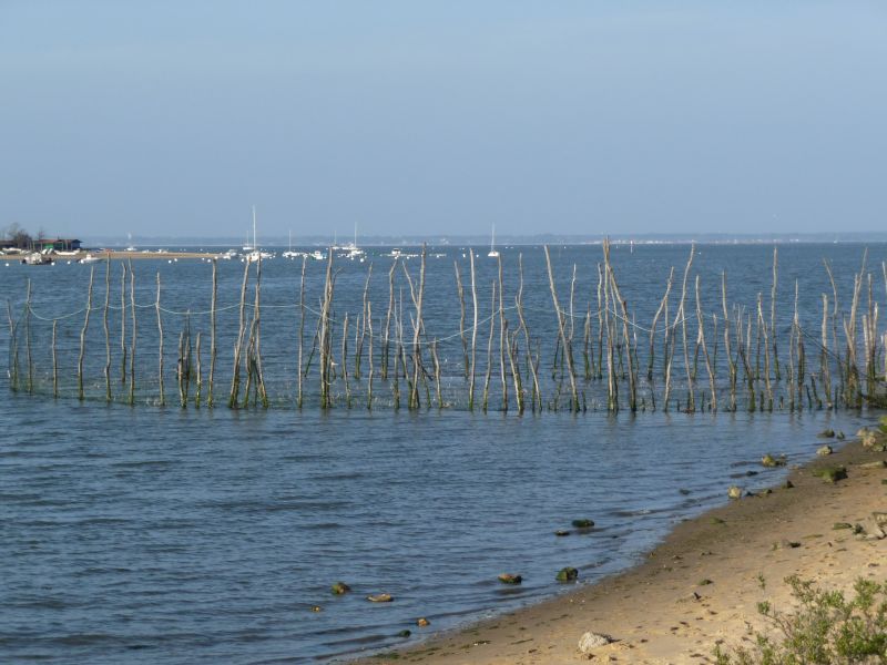 foto 12 Mietobjekt von Privatpersonen Arcachon appartement Aquitanien Gironde Ansicht des Objektes