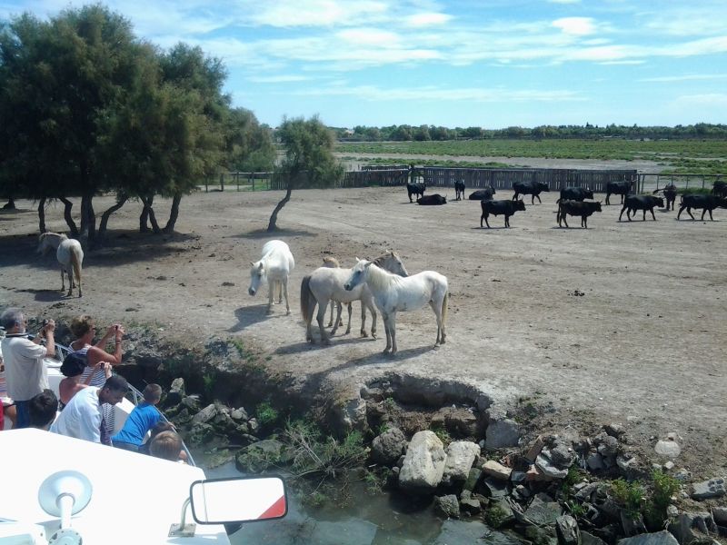 foto 29 Mietobjekt von Privatpersonen Uzs maison Languedoc-Roussillon Gard