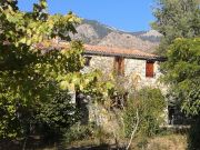 Ferienunterknfte ferien in den bergen Korsika: appartement Nr. 99563