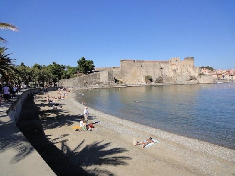 foto 16 Mietobjekt von Privatpersonen Collioure studio Languedoc-Roussillon Pyrenen (Mittelmeer) Strand