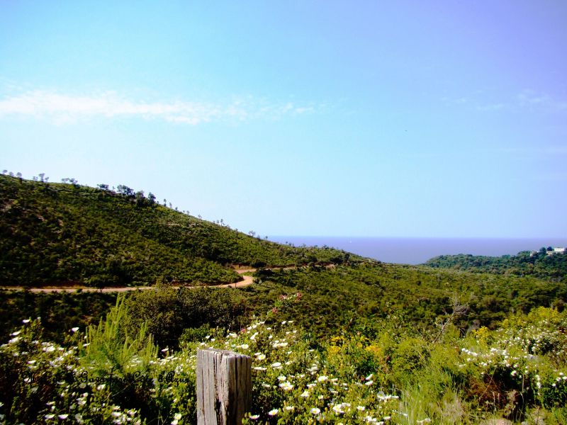 foto 2 Mietobjekt von Privatpersonen Hyres maison Provence-Alpes-Cte d'Azur Var Nahaufnahme