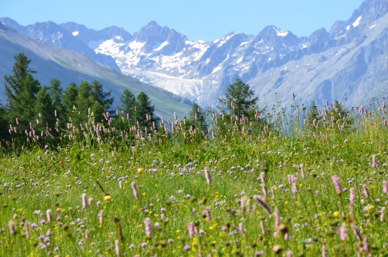 foto 7 Mietobjekt von Privatpersonen Puy Saint Vincent studio Provence-Alpes-Cte d'Azur Hautes-Alpes