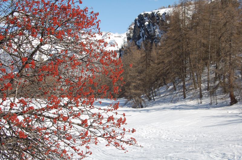 foto 10 Mietobjekt von Privatpersonen Puy Saint Vincent studio Provence-Alpes-Cte d'Azur Hautes-Alpes