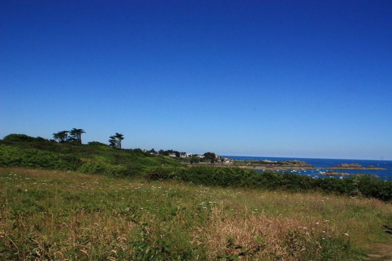 foto 16 Mietobjekt von Privatpersonen Dinard gite Bretagne Ille et Vilaine Nahaufnahme