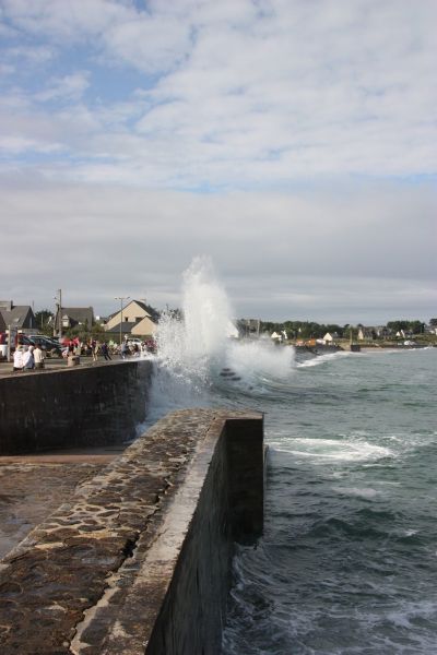 foto 19 Mietobjekt von Privatpersonen Dinard gite Bretagne Ille et Vilaine Nahaufnahme