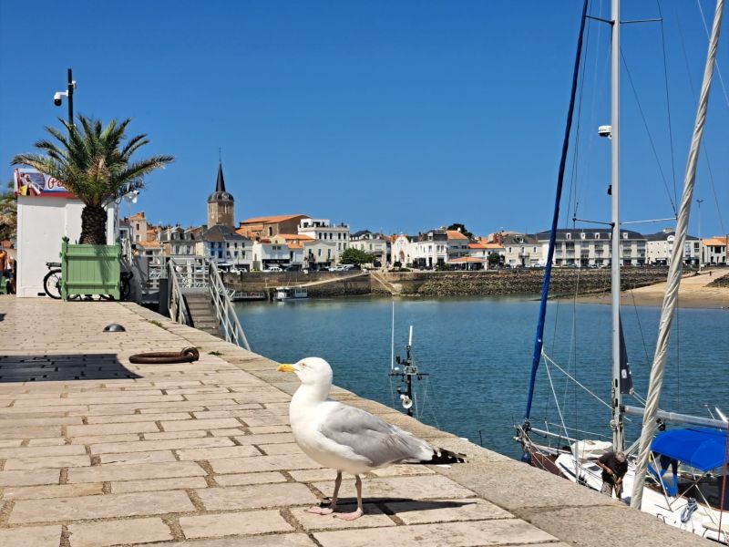 foto 19 Mietobjekt von Privatpersonen Les  Sables d'Olonne maison Pays de la Loire Vende Nahaufnahme