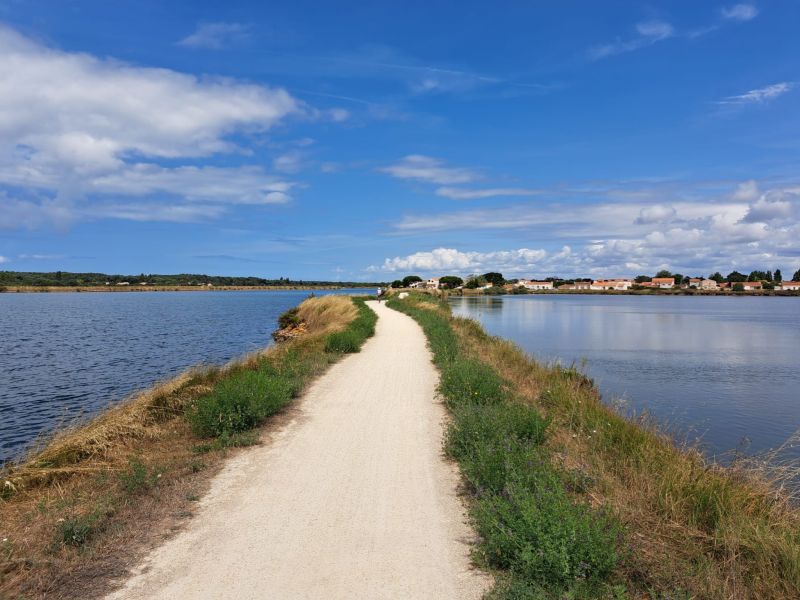 foto 23 Mietobjekt von Privatpersonen Les  Sables d'Olonne maison Pays de la Loire Vende Nahaufnahme