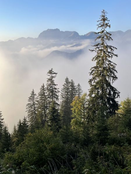 foto 13 Mietobjekt von Privatpersonen Chtel appartement Rhne-Alpes Haute-Savoie Nahaufnahme