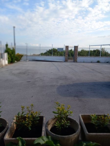 foto 9 Mietobjekt von Privatpersonen Gargano appartement Apulien Foggia (+Umland) Parkplatz