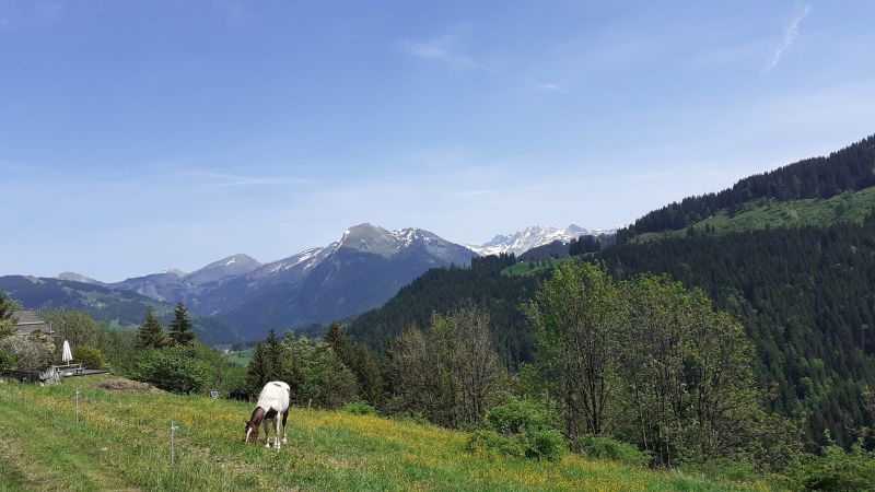 foto 19 Mietobjekt von Privatpersonen Morzine studio Rhne-Alpes Haute-Savoie Ausblick aus der Ferienunterkunft