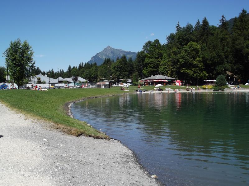 foto 22 Mietobjekt von Privatpersonen Morillon Grand Massif studio Rhne-Alpes Haute-Savoie Nahaufnahme