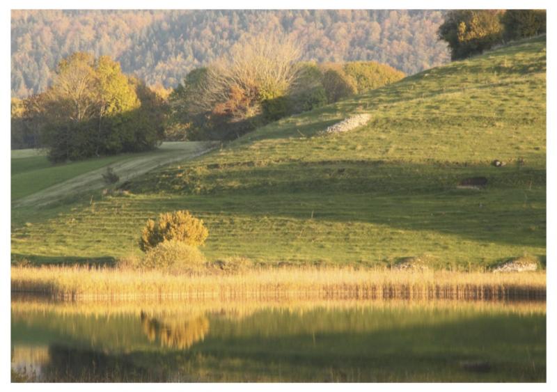 foto 6 Mietobjekt von Privatpersonen Fort-du-Plasne gite Franche-Comt Jura