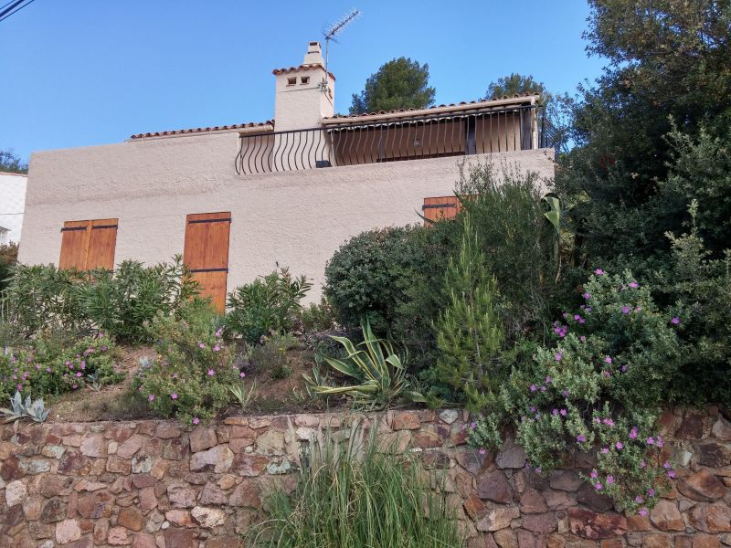 foto 17 Mietobjekt von Privatpersonen Roquebrune sur Argens villa Provence-Alpes-Cte d'Azur Var Ansicht des Objektes