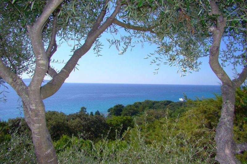 foto 5 Mietobjekt von Privatpersonen Propriano villa Korsika Corse du Sud Ausblick von der Terrasse