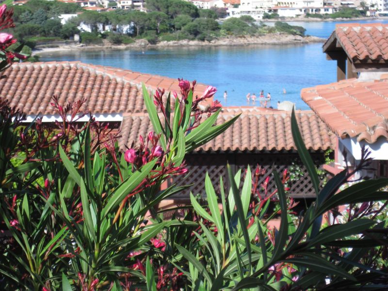 foto 1 Mietobjekt von Privatpersonen Golfo Aranci appartement Sardinien Olbia Tempio (+ Umland) Ausblick von der Terrasse