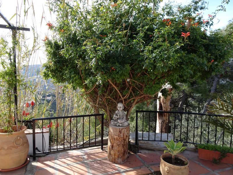 foto 12 Mietobjekt von Privatpersonen Torrox villa Andalusien Provinz Mlaga Ausblick von der Terrasse