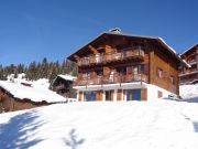 Ferienunterkünfte skigebiete Les Saisies: appartement Nr. 91423