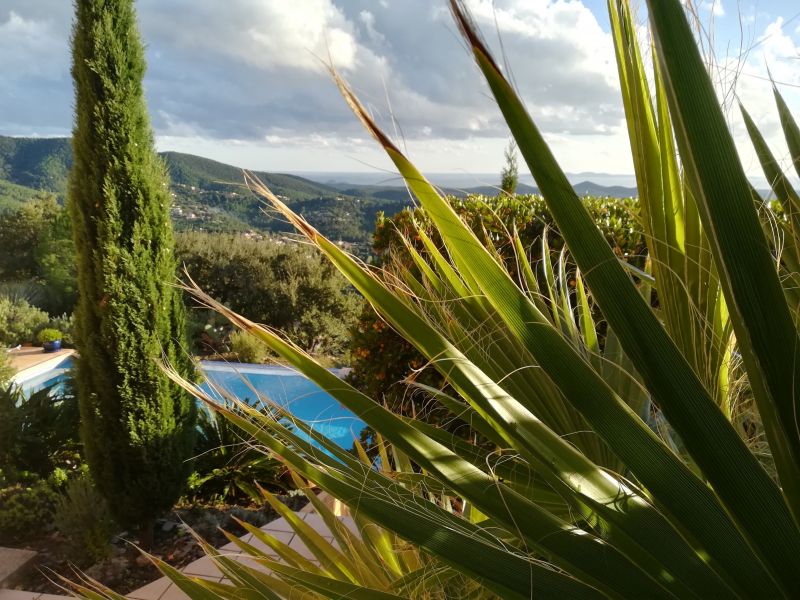 foto 27 Mietobjekt von Privatpersonen La Londe-les-Maures villa Provence-Alpes-Cte d'Azur Var Garten