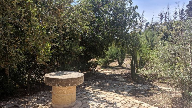 foto 26 Mietobjekt von Privatpersonen Tricase villa Apulien Lecce (+Umland)