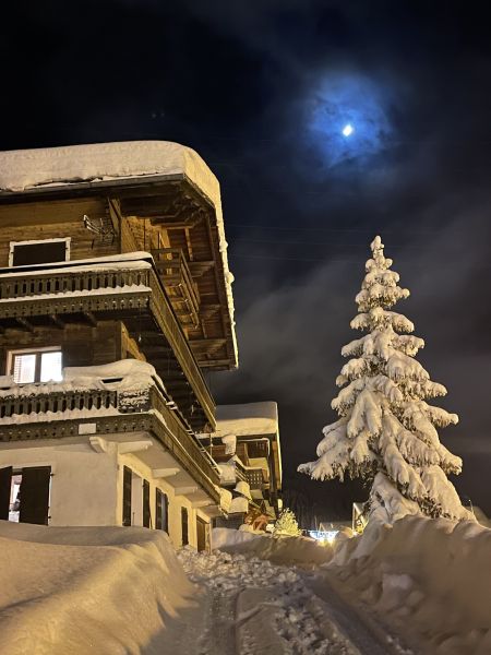 foto 10 Mietobjekt von Privatpersonen Chtel appartement Rhne-Alpes Haute-Savoie Ansicht des Objektes