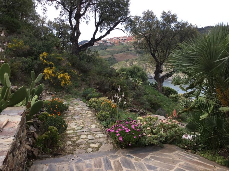 foto 0 Mietobjekt von Privatpersonen Cerbre appartement Languedoc-Roussillon Pyrenen (Mittelmeer) Ansicht des Objektes