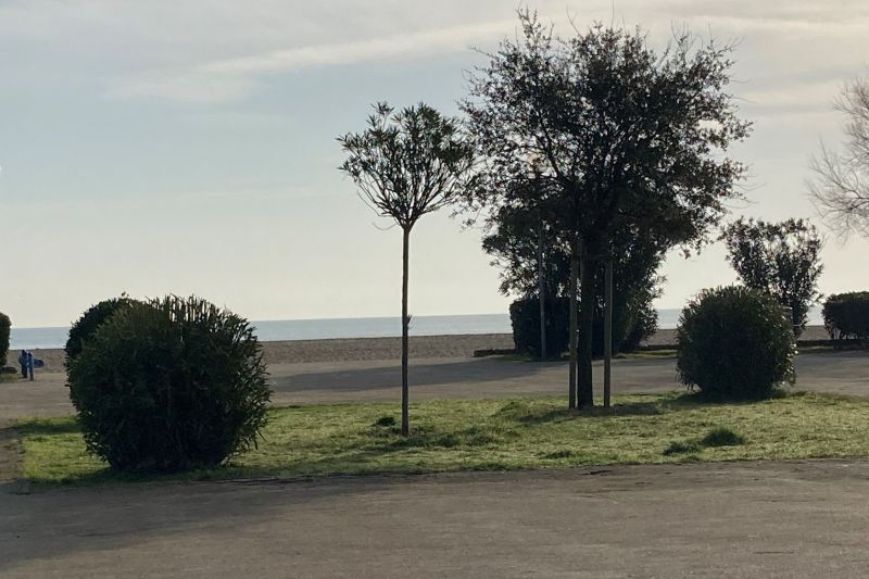 foto 0 Mietobjekt von Privatpersonen Argeles sur Mer appartement Languedoc-Roussillon Pyrenen (Mittelmeer)