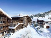 Ferienunterkünfte skigebiete Chtel: appartement Nr. 123779