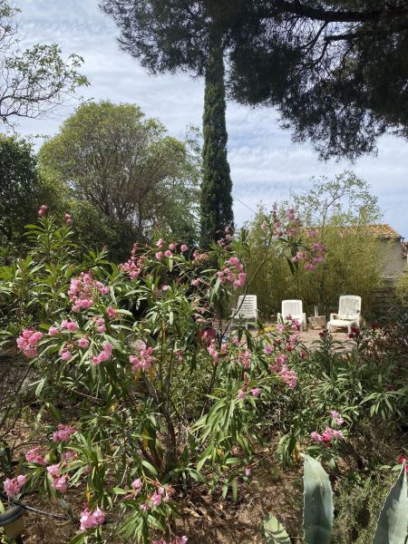 foto 4 Mietobjekt von Privatpersonen La Ciotat maison Provence-Alpes-Cte d'Azur Bouches du Rhne Garten