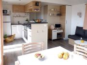 Ferienunterknfte Frankreich: mobilhome Nr. 126379