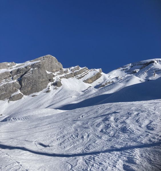 foto 20 Mietobjekt von Privatpersonen Manigod-Croix Fry/L'tale-Merdassier studio Rhne-Alpes Haute-Savoie