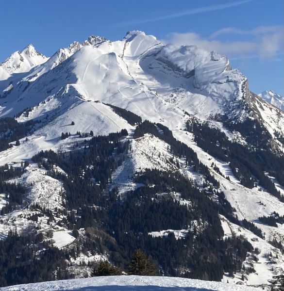 foto 19 Mietobjekt von Privatpersonen Manigod-Croix Fry/L'tale-Merdassier studio Rhne-Alpes Haute-Savoie Nahaufnahme