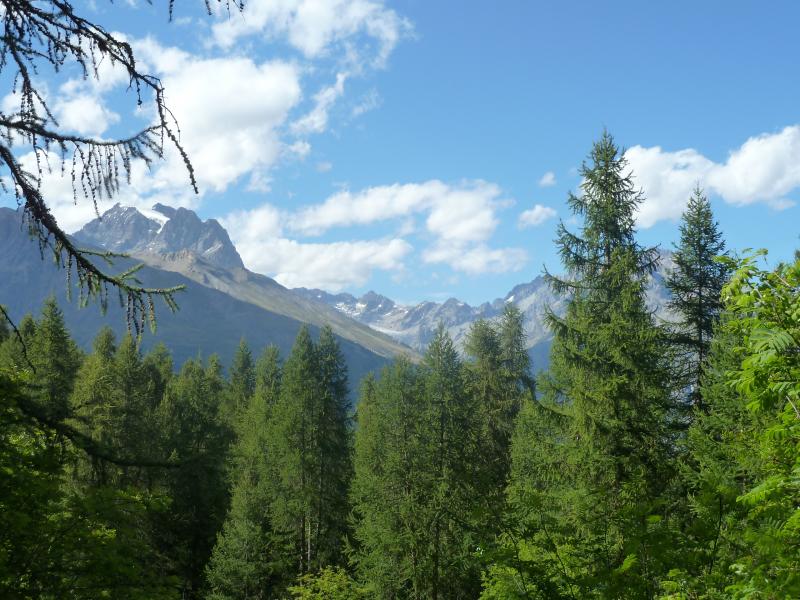 foto 16 Mietobjekt von Privatpersonen Puy Saint Vincent studio Provence-Alpes-Cte d'Azur Hautes-Alpes Nahaufnahme