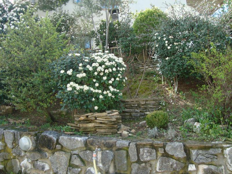 foto 17 Mietobjekt von Privatpersonen Cassis villa Provence-Alpes-Cte d'Azur Bouches du Rhne Garten
