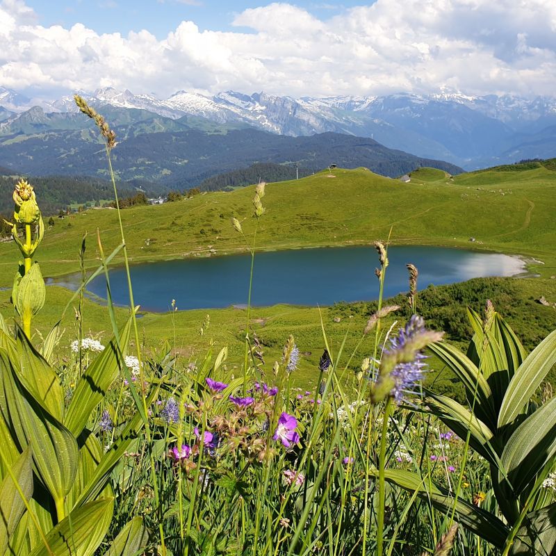 foto 15 Mietobjekt von Privatpersonen Praz de Lys Sommand studio Rhne-Alpes Haute-Savoie