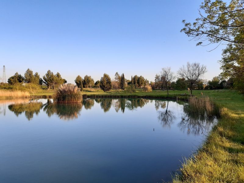 foto 25 Mietobjekt von Privatpersonen Narbonne gite Languedoc-Roussillon Aude Garten