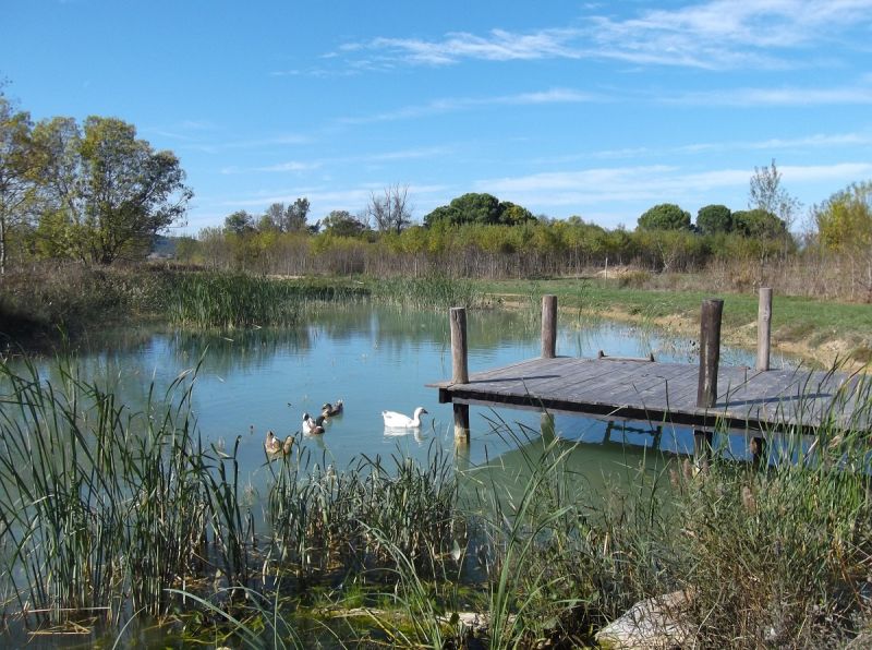 foto 29 Mietobjekt von Privatpersonen Narbonne gite Languedoc-Roussillon Aude andere